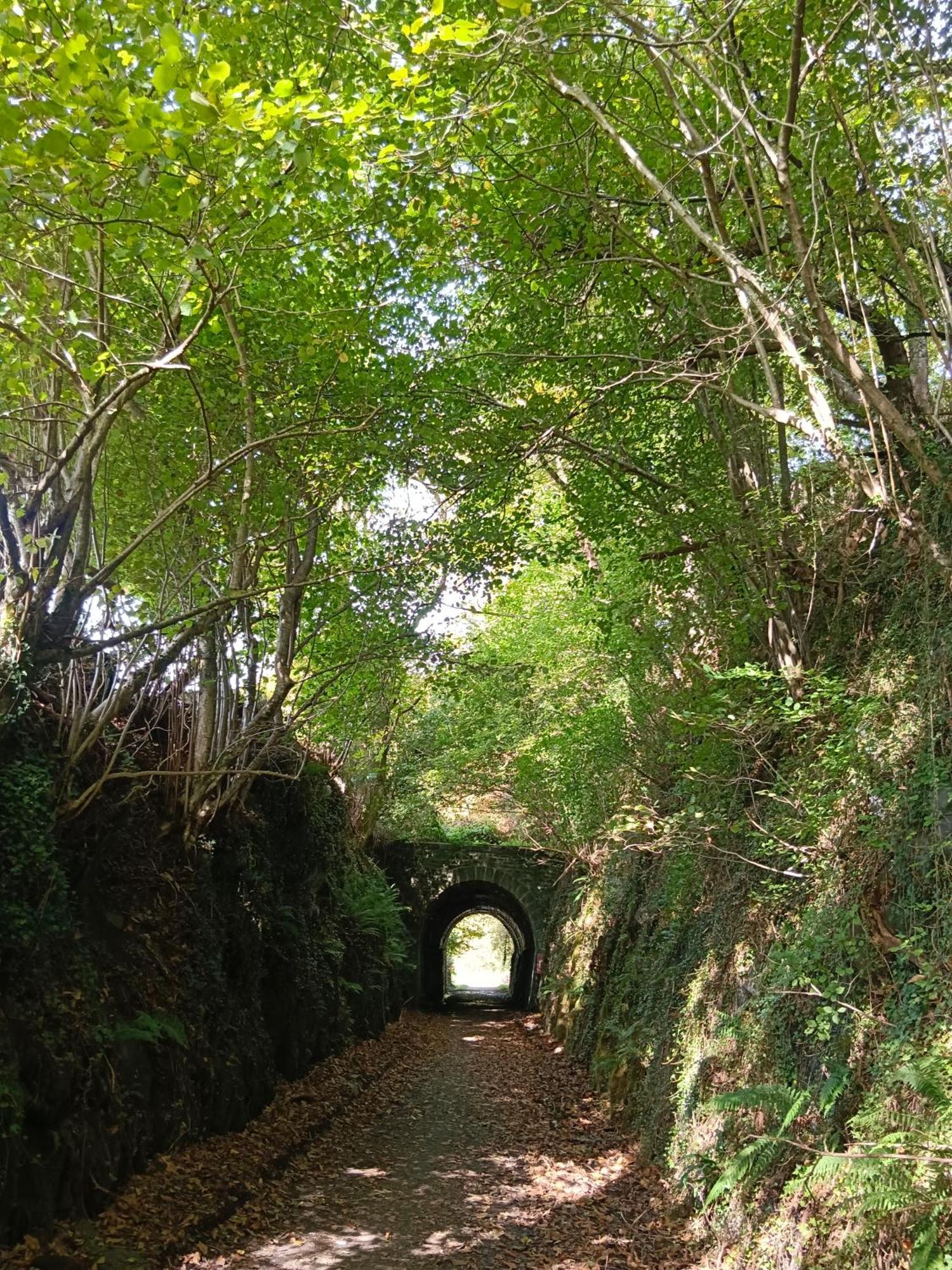 Hostal-Cicloturismo Lopenea 莱萨 外观 照片